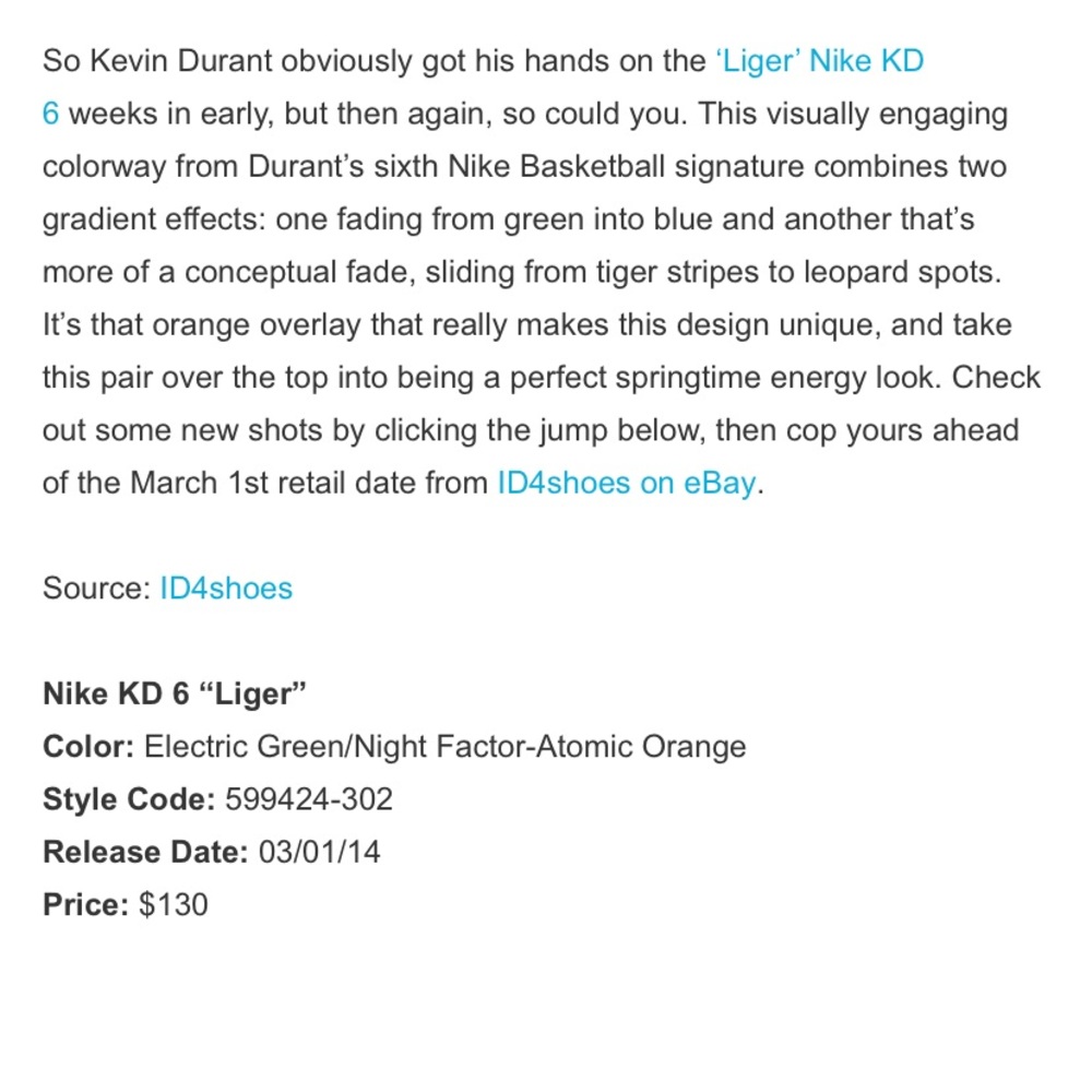 Nike EUC “KD 6 Liger” Kids Sneakers - Picture 11 of 11